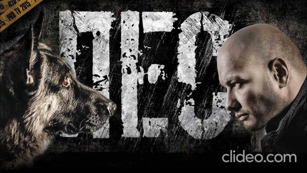 Жил был пес шо опять. Пес что с ним. Волк из мультика жил был пёс шо опять. Стих про собаку для детей. Волк из мультфильма шо опять.