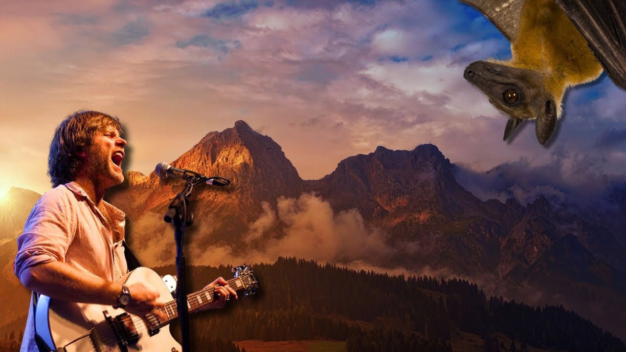 This is the best Fruit Bats song… right? YouTube