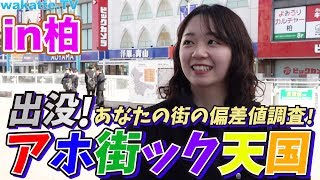 千葉の渋谷!!柏でアホ街ック天国!!【wakatte.TV】#301