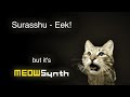 Surasshu Eek But It S MEOWSynth Surasshu Eek But It S MEOWSynth