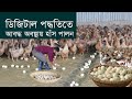 Poultry rearing by digital method  how to raising millions of duck