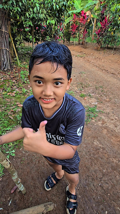 pohon pisang aneh #trendingshorts