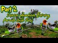 Suara Anakan Burung Kemade Untuk Pikat Part 2 |Mix SG Pulot
