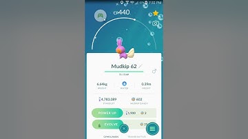 Evolving a Community Day Shiny Mudkip - Pokémon Go!