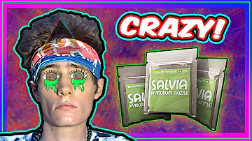 What 𝐒𝐀𝐋𝐕𝐈𝐀 Feels Like! INSANE Trip Report & The Science Behind It!