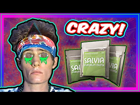 What 𝐒𝐌𝐎𝐊𝐈𝐍𝐆 𝐒𝐀𝐋𝐕𝐈𝐀 Feels Like – How Salvia Works + INSANE Trip Report! 😳