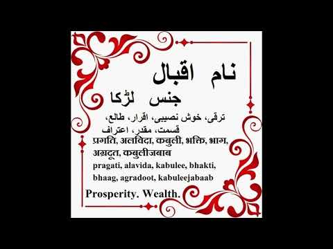 Download Maida Name Meaning In Urdu Islamic Baby Names Youtube For Android Free Wallpaper Maida Name Meaning In Urdu Islamic Baby Names Youtube For iPhone Free