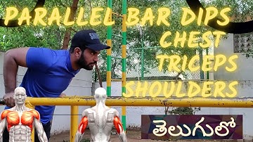 Parallel Bar Dips | Best Bodyweight Compound Workout | Chest | Shoulder | Triceps Workout