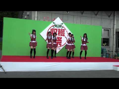 ちぇすと収穫祭GIZOU（ぎぞ）