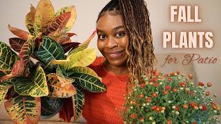 Transform Your Patio for Fall Season with These Plants