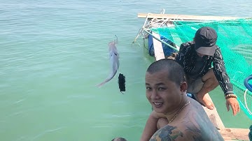 NHA TRANG FOOD | CÂU CÁ BIỂN VÀ THƯỞNG THỨC CÁ NƯỚNG NGAY TẠI BÈ |  SEA FISHING