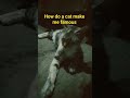 just how and im ok with 1k views