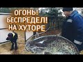 На ХУТОРЕ в сажалку запустили сомов. Готовим из мяса барана