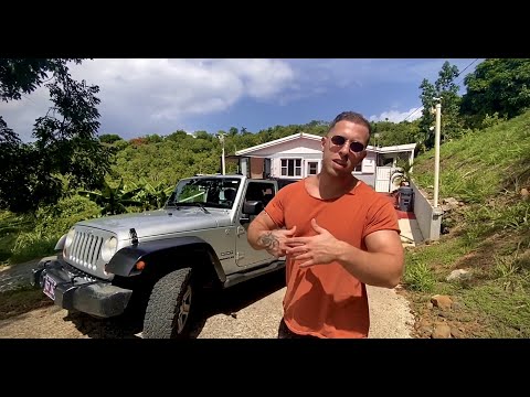 ვრანგლერის და კარიბის ზღვის ამერიკული კუნძულის მიმოხილვა - მინიმალისტური ძვირიანობა!