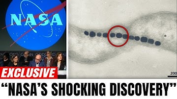 Did NASA Just Confirm Life on Mars? What They Discovered Is Unreal