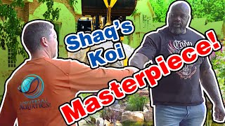 SHAQ'S KOI POND * Greg Wittstock The Pond Guy In Atlanta *Part 3* SHAQ'S KOI POND * Greg Wittstock The Pond Guy In Atlanta *Part 3*