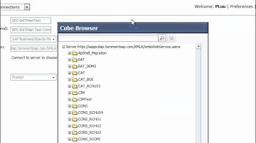BPC-BI Integration Setup