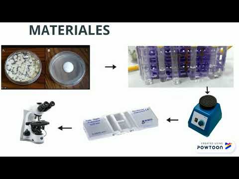 Práctica 4. Preparación