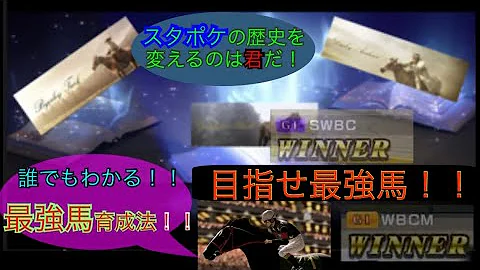 スタポケ 素質