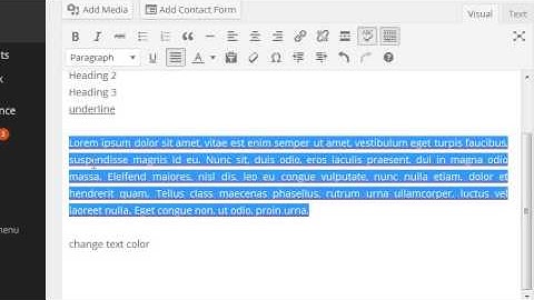 WordPress 101: Pages/Posts - Content Editor (Part 2)