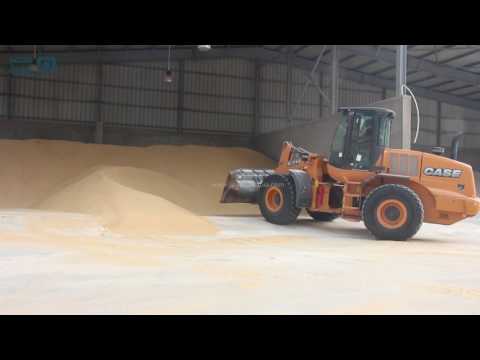 مصر العربية تعرف على قصة أول مصنع زجاج في مصر