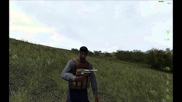 DayZ Suicide