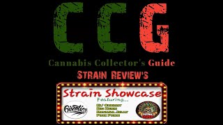 6ixotics - Strain Showcase - El Cherry, Big Zerm, Banana Jelly, and Pink Perm