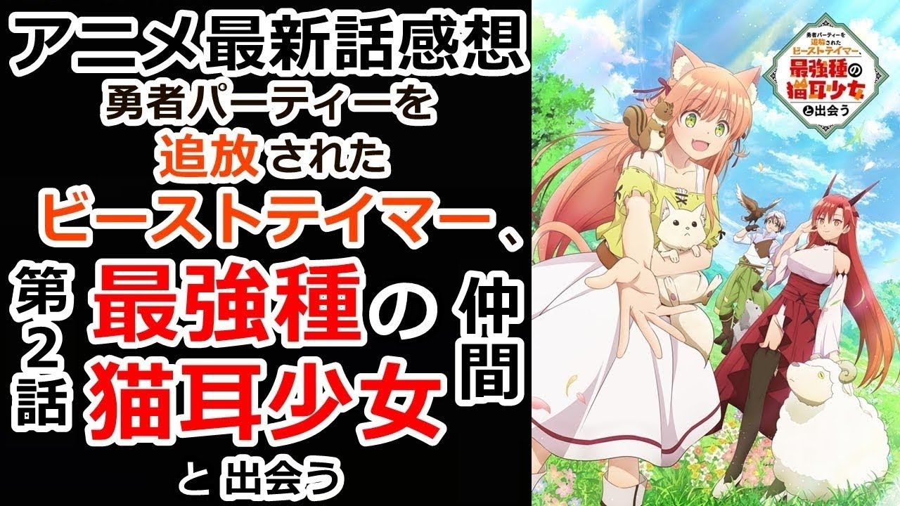 感想 ビーストテイマーのトンデモ能力 勇者パーティーを追放されたビーストテイマー 最強種の猫耳少女と出会う レビュー Youtube
