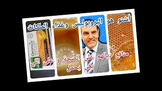 تعريف البربوليس و غذاء الملكات و أشنو هو تأثيرهم على الصحة و النساء اللي باغين الحمل