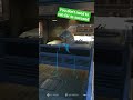 prop hunt cortex medical machine chase around corner you don't need to run far #prophunt