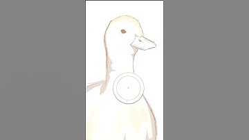 Can never go wrong with a duck #Duck#procreate#art #digitalart #cute#digitalpainting #trend#shorts