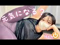 【ストレッチ】はむたんの元気になるストレッチ♪1週間前のきりん先輩を模倣犯たん🧡