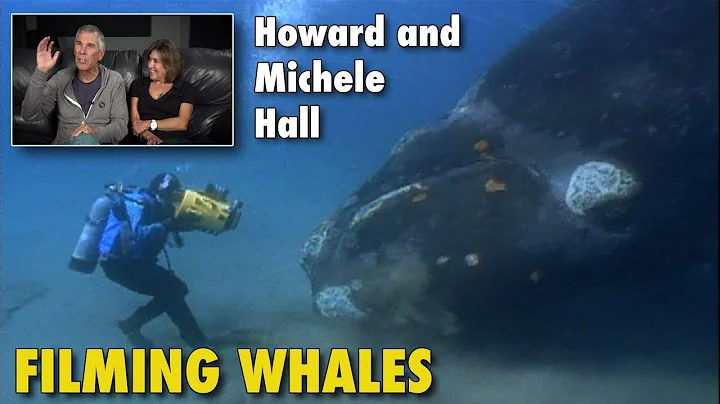 Howard and Michele Hall talk about filming whales!...