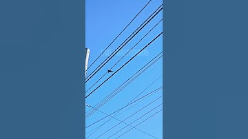 ❗️Raid "Shahed-136" over Sumy region #shahed136 #russia #dronestrikes #sumy #warzone #uav #army