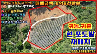 [동강주변현포도밭운영.일조량좋음.확트인전경.높은지대.조망권우수.남향매물] #영월부동산#영월귀농귀촌#영월토지#영월전원