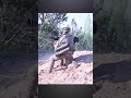 Tank hunters #shorts #military