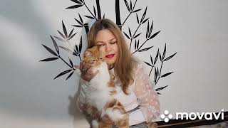 Конкурс красоты "CAT-SEX-SHOW" на выставке кошек он-лайн - Афина Экзот Кэтрин & Наталья, ноябрь 2022