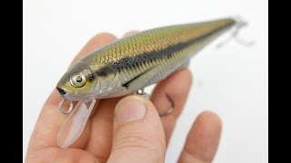 Fathead minnow painting tutorial