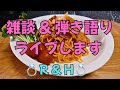 雑談&弾き語りライブ配信中！