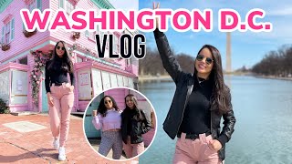 WASHINGTON D.C. E COMPRAS - VLOG