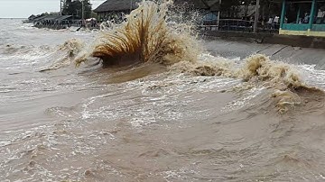 Biển Tân Thành, Gò Công Đông, Tiền Giang