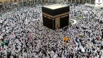 أواخر سورة إبراهيم بأداء رفيع مميز من صلاة الفجر ١٠ / ١٠ / ١٤٤٣ للقارئ سعود آل جمعة