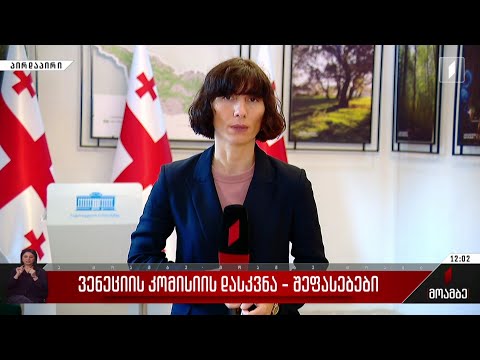 ვენეციის კომისიის დასკვნა - შეფასებები პოლიტიკურ სპექტრში