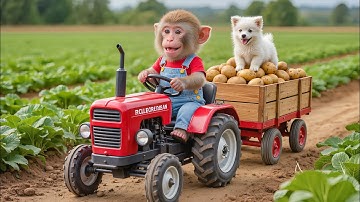 🐒🚜💜 Monkey NaNa’s Magical Potato Harvest Turns Into a Dog Rescue Mission! 🐶😱 – NANA MONKEY LIFE