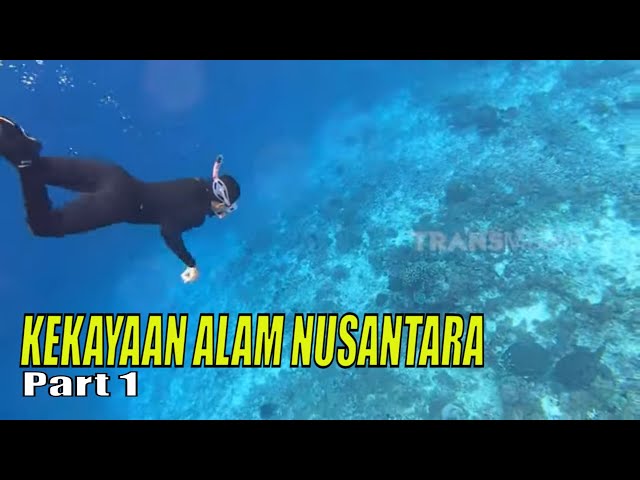 KEKAYAAN ALAM NUSANTARA | JEJAK PETUALANG (26/11/23) Part 1 class=