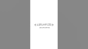 كروما شاشه بيضاء قرأن كريم 🍁 تلاوة من سورة النصر 🍁 القارئ داؤود العنبري 🍁