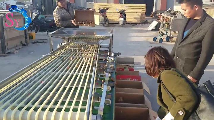 6-level medium hawthorn grading sorting machine/small fruits cherry tomato walnut potato sorter