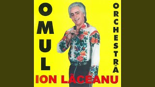 Au plecat olteni la coasă