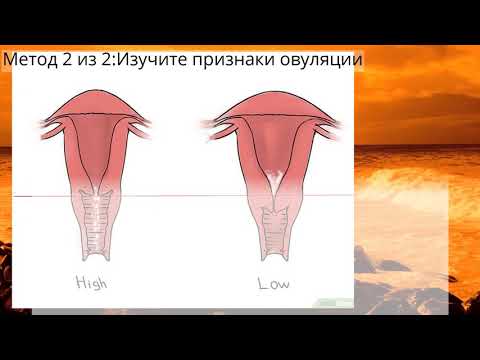 Как определить положение шейки матки