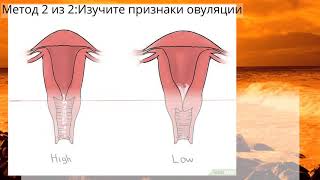 Как определить положение шейки матки